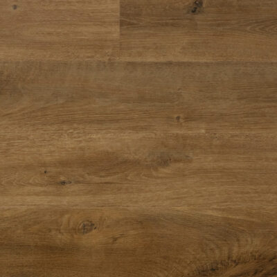 Magnis Dis Parturient