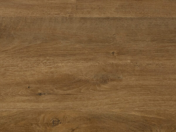 Magnis Dis Parturient