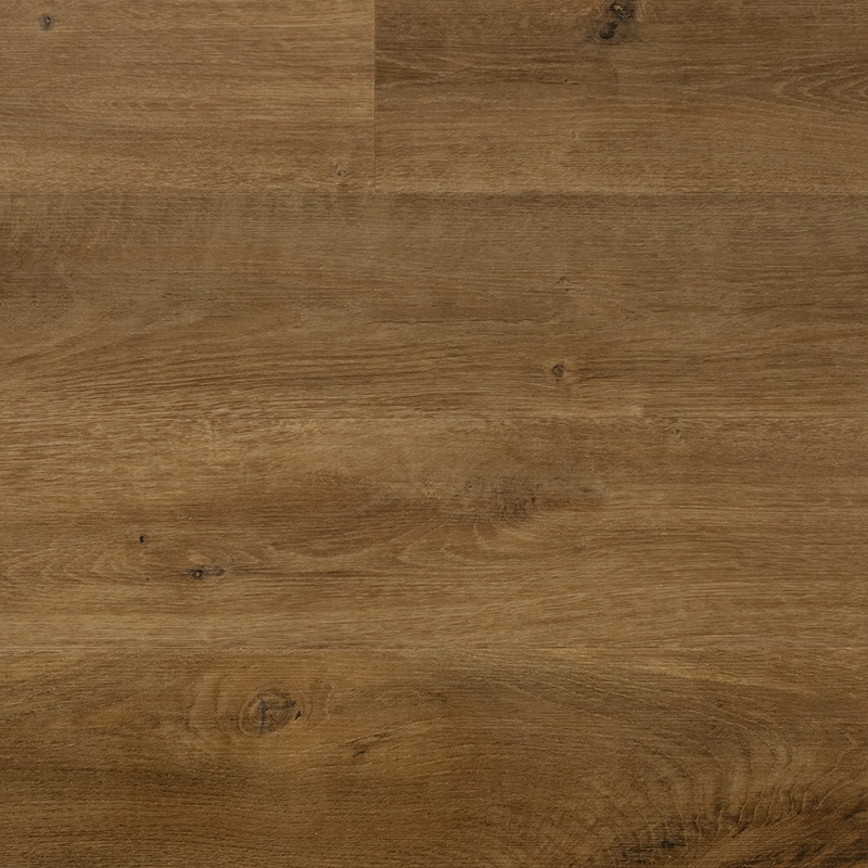 Magnis Dis Parturient